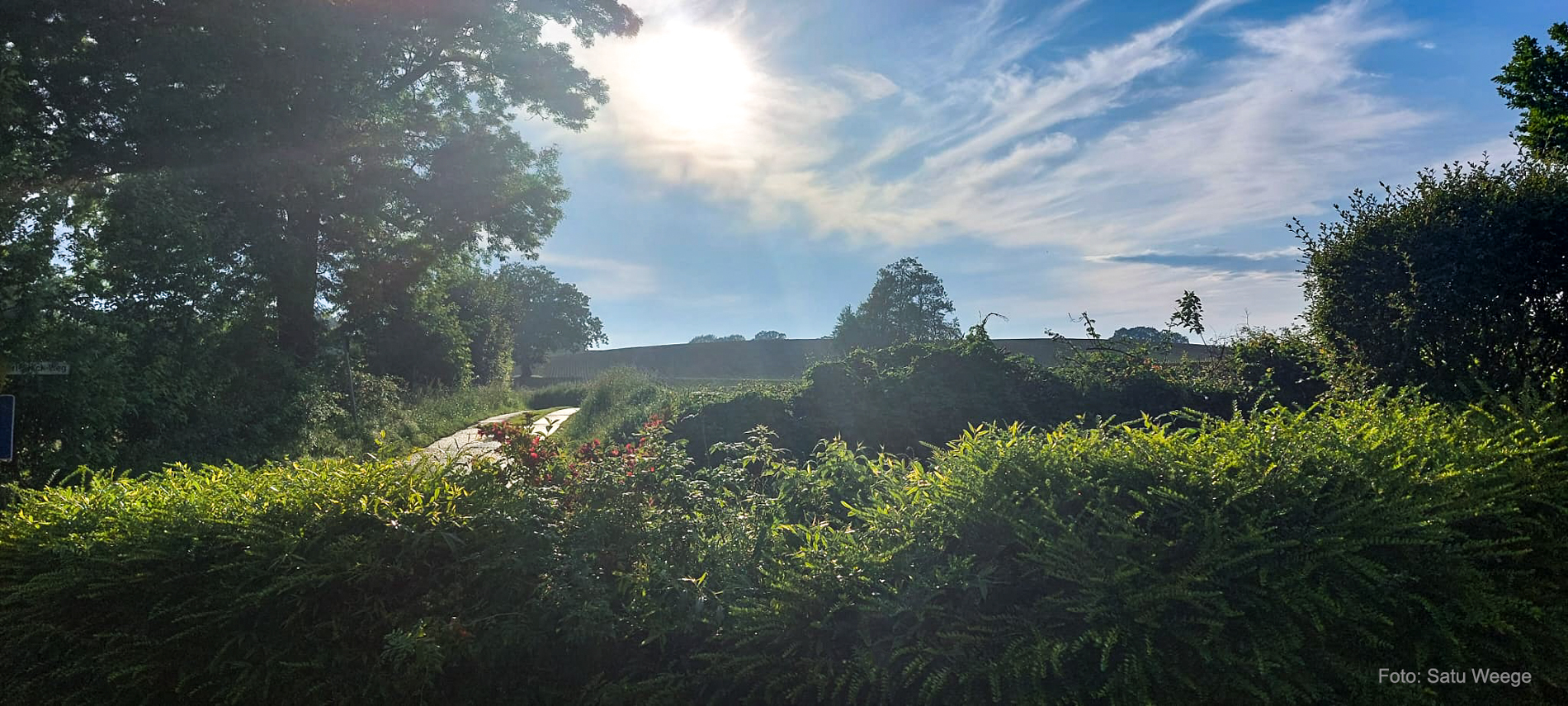 Blick vom Warnauer Weg über die Felder